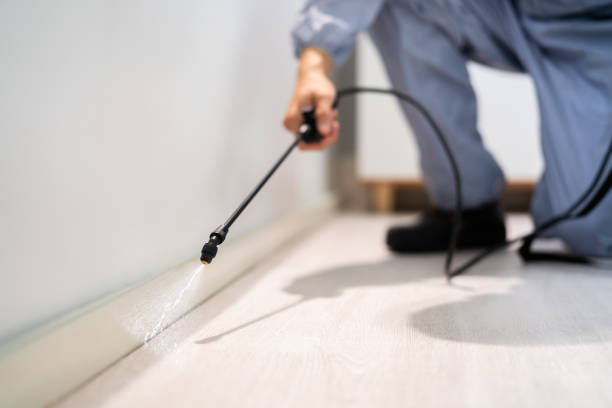 Licensed Exterminator service in Justice, IL - Show Me Pest Control