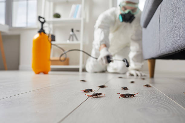 Commercial Rodent Management in Justice